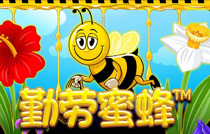 am8亚美app苹果
